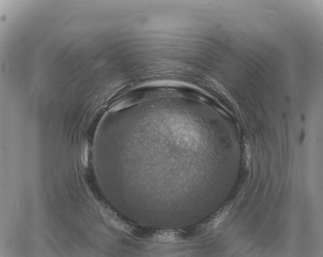 X0000064770076200602171835