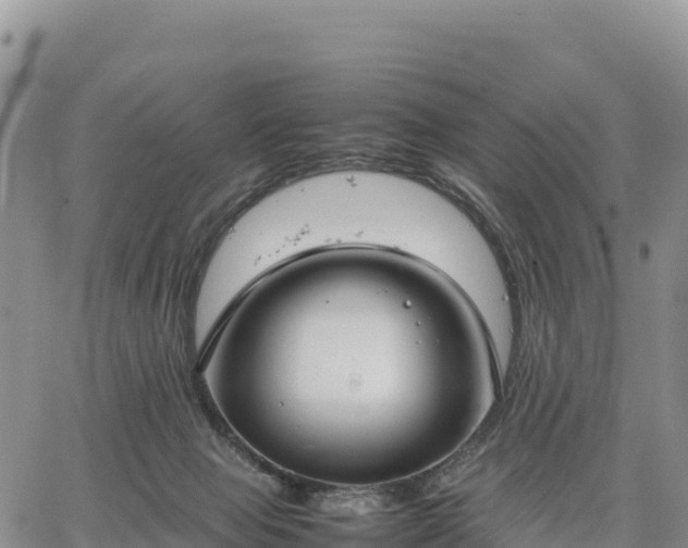 X0000064770077200602171835