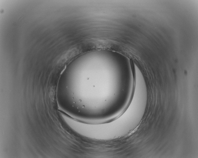 X0000064770078200602171835