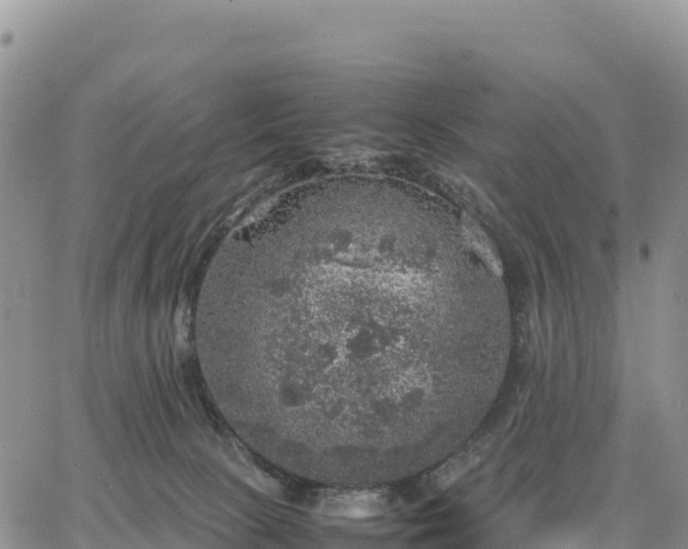 X0000064770081200602171835