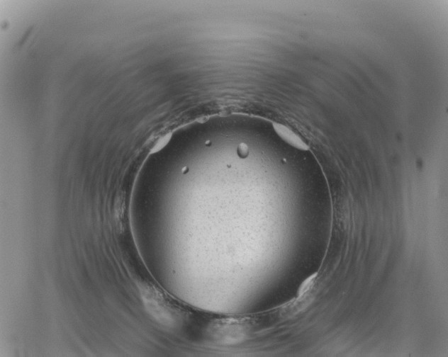 X0000064770082200602171835