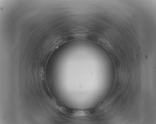 X0000064770083200602171835