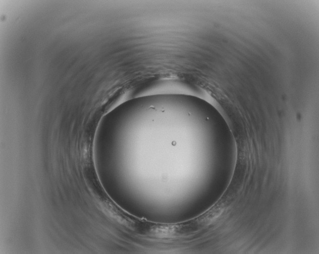 X0000064770084200602171835