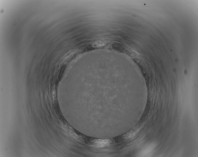 X0000064770085200602171835