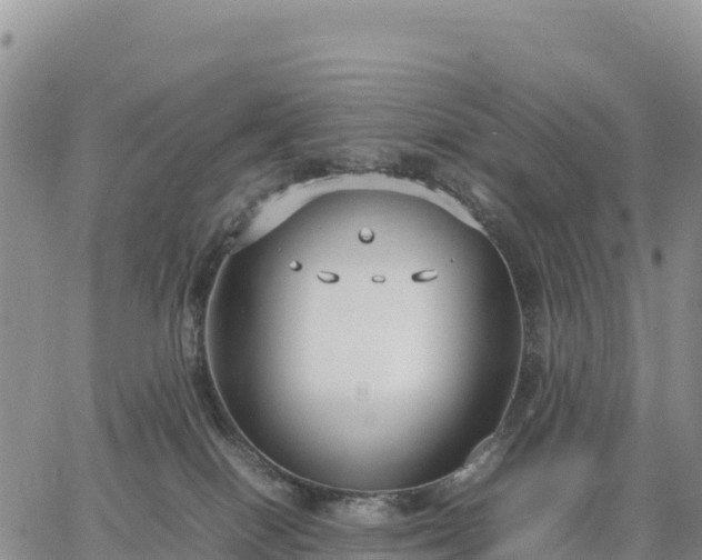 X0000064770086200602171835