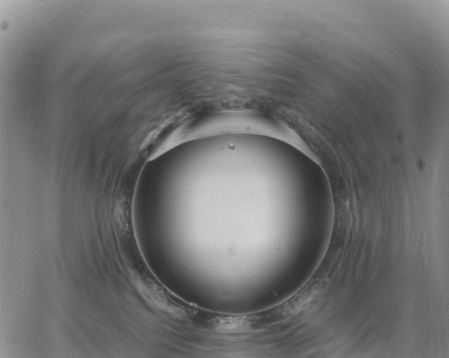 X0000064770088200602171835