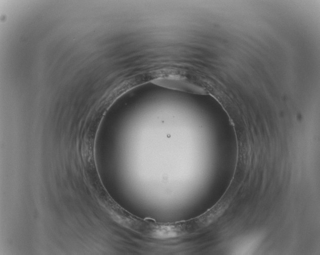 X0000064770091200602171836