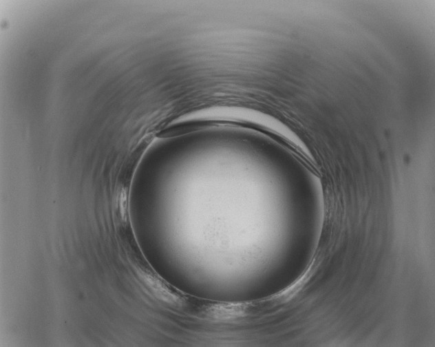 X0000064770094200602171836