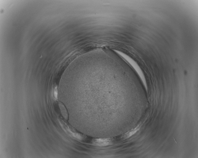 X0000064770095200602171836