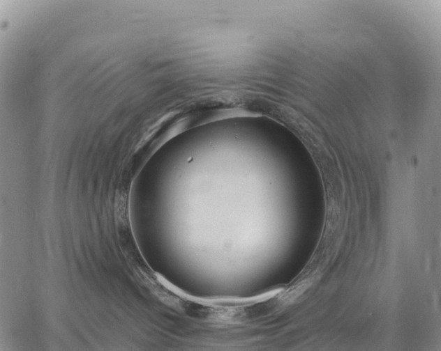 X0000064770096200602171836