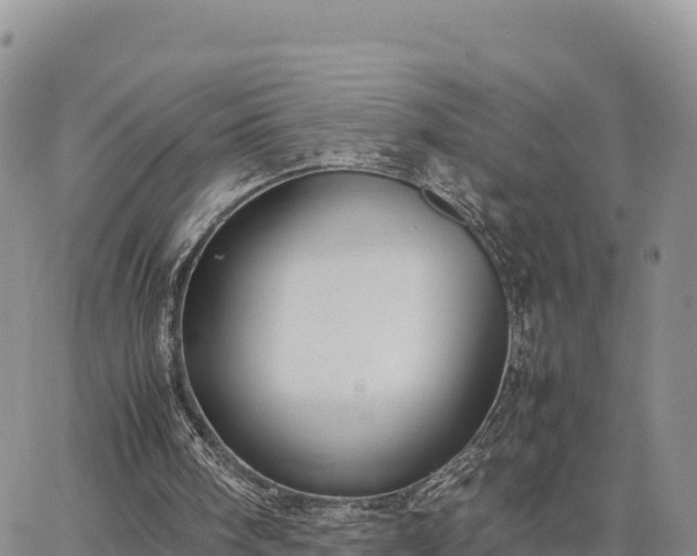 X0000064770098200602171835