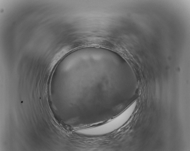 X0000064770099200602171835