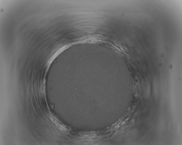 X0000064770100200602171835