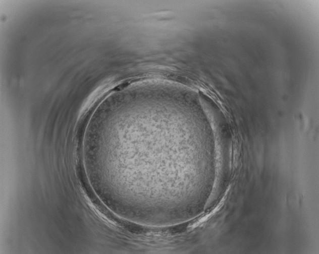 X0000064770101200602171835