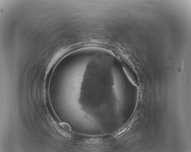 X0000064770102200602171835