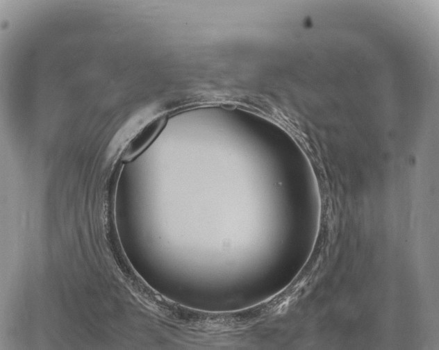 X0000064770103200602171835