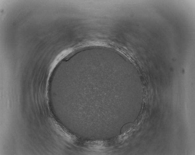 X0000064770104200602171835