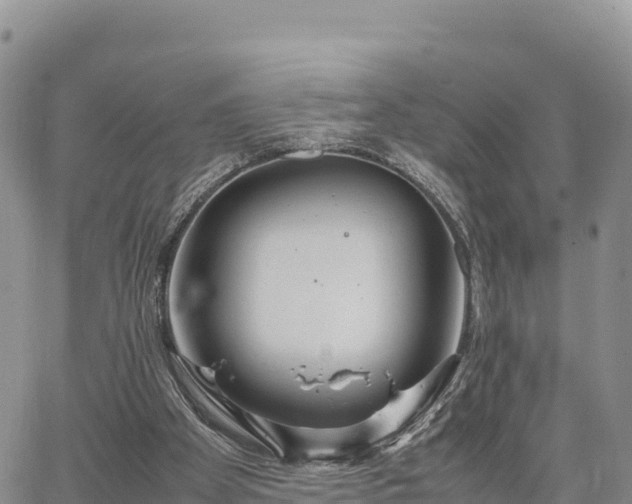 X0000064770105200602171835