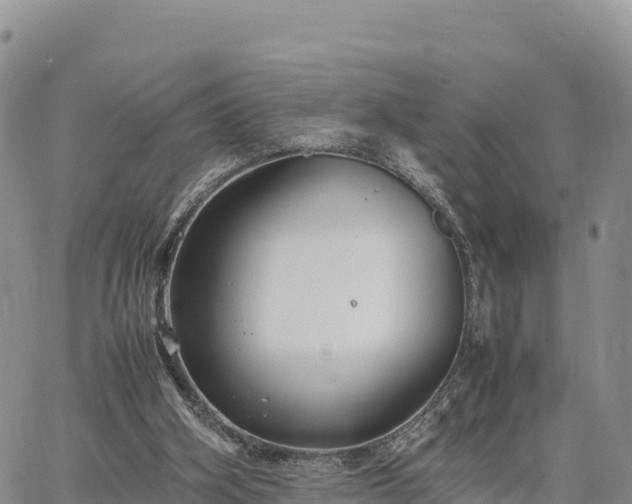 X0000064770106200602171835