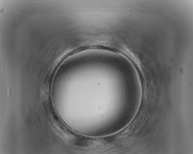 X0000064770107200602171835