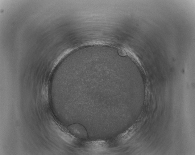 X0000064770108200602171835