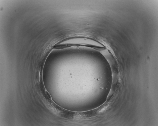 X0000064770109200602171835