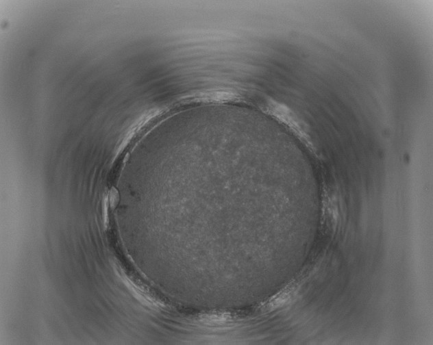 X0000064770110200602171834