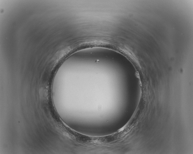 X0000064770111200602171834