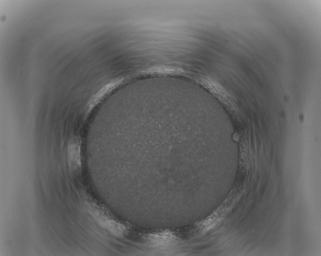 X0000064770112200602171834