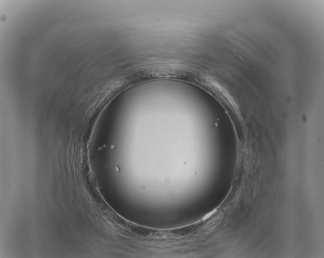 X0000064770113200602171834