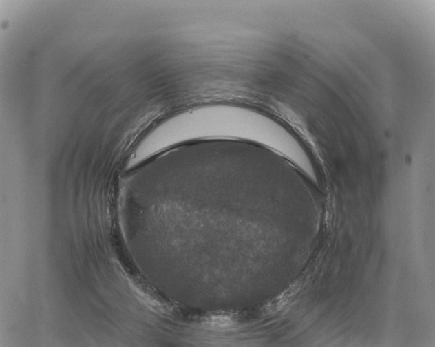 X0000064770114200602171834