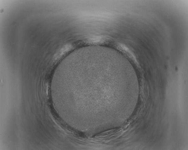 X0000064770115200602171834