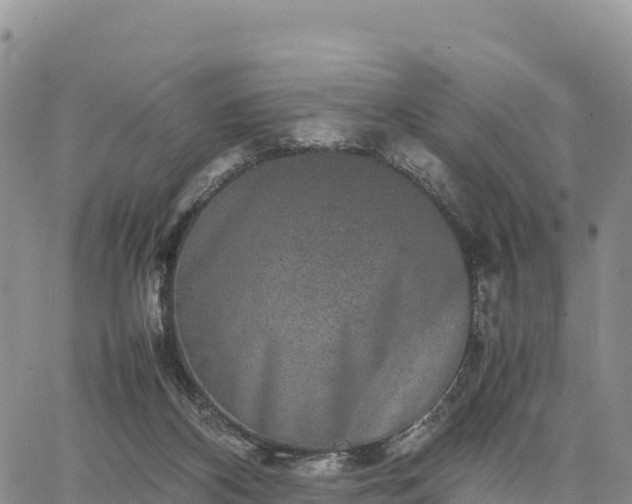 X0000064770116200602171834