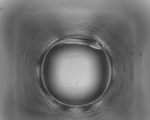 X0000064770117200602171834