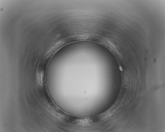 X0000064770118200602171834