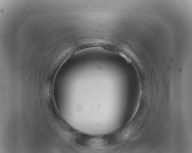 X0000064770119200602171834