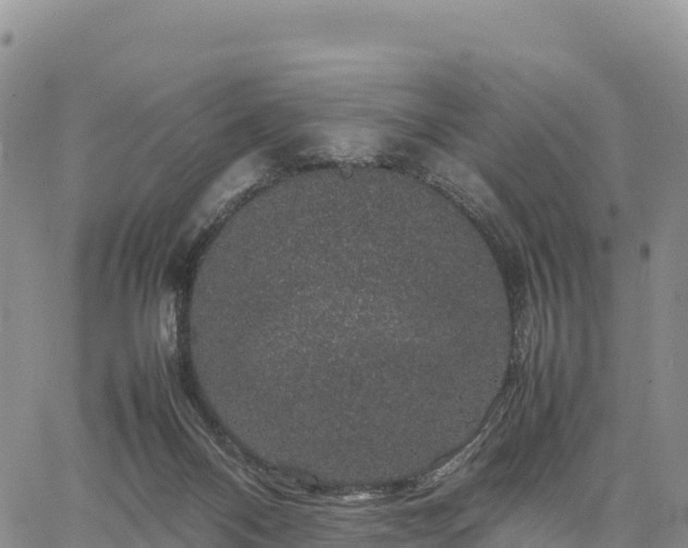 X0000064770120200602171834