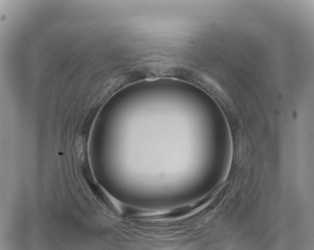 X0000064770121200602171834