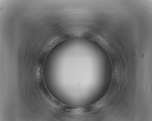 X0000064770122200602171834