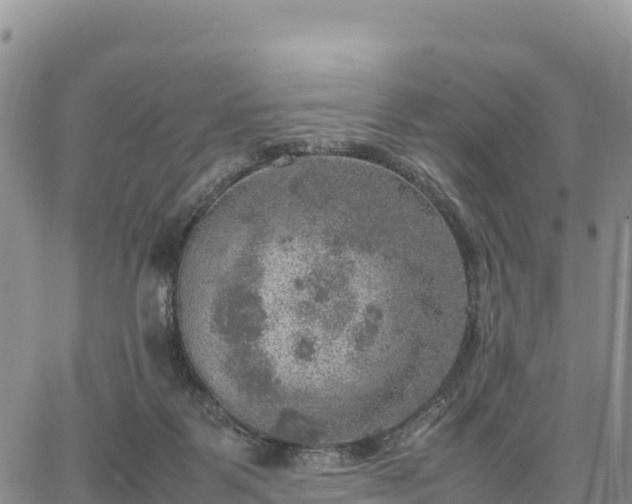 X0000064770123200602171834