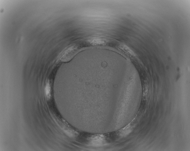 X0000064770124200602171834