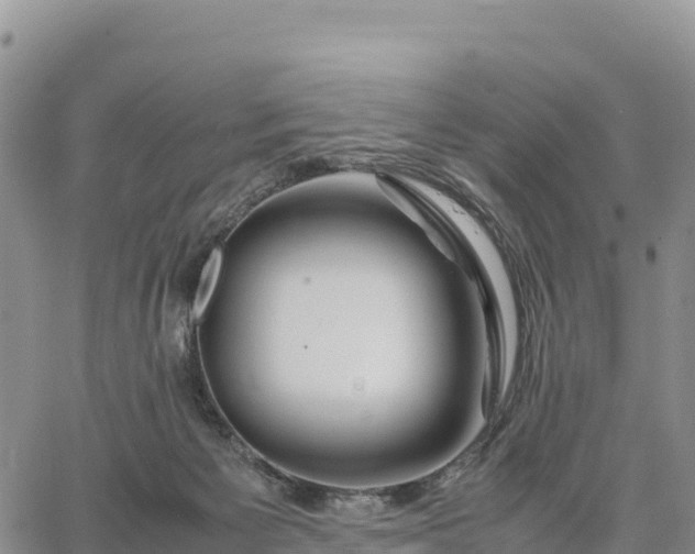 X0000064770125200602171834