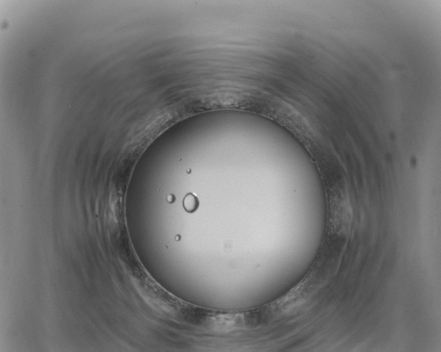 X0000064770126200602171834