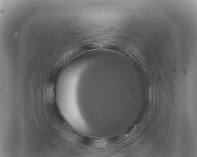 X0000064770127200602171834