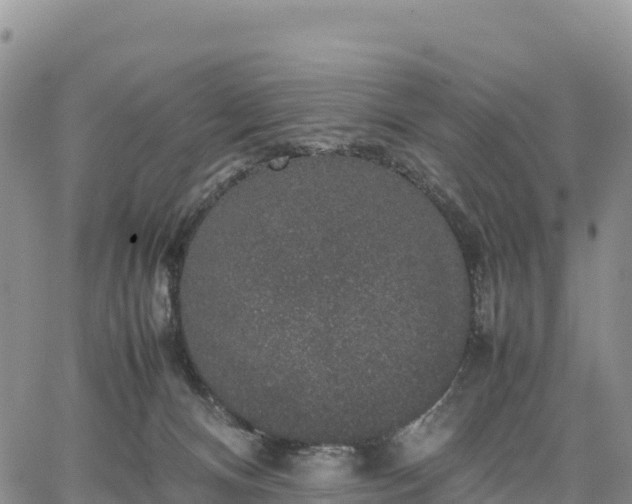 X0000064770128200602171834