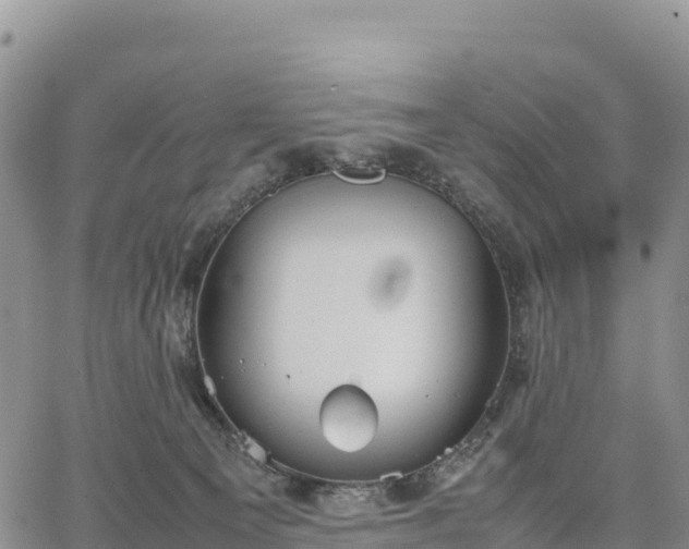 X0000064770129200602171834