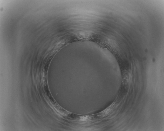 X0000064770130200602171834