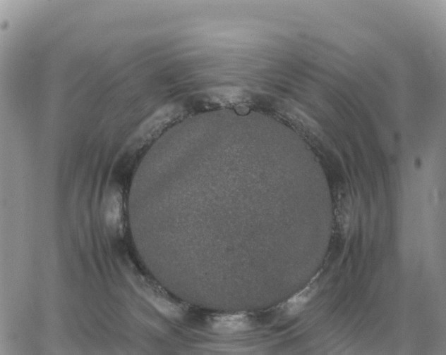 X0000064770132200602171834