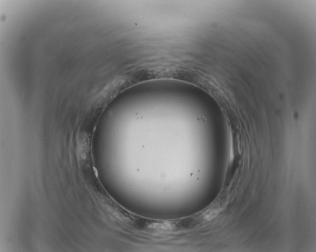 X0000064770133200602171834