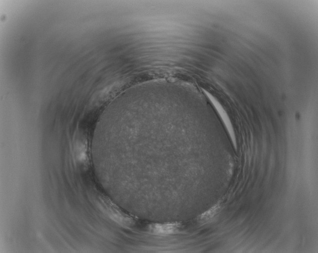 X0000064770134200602171834